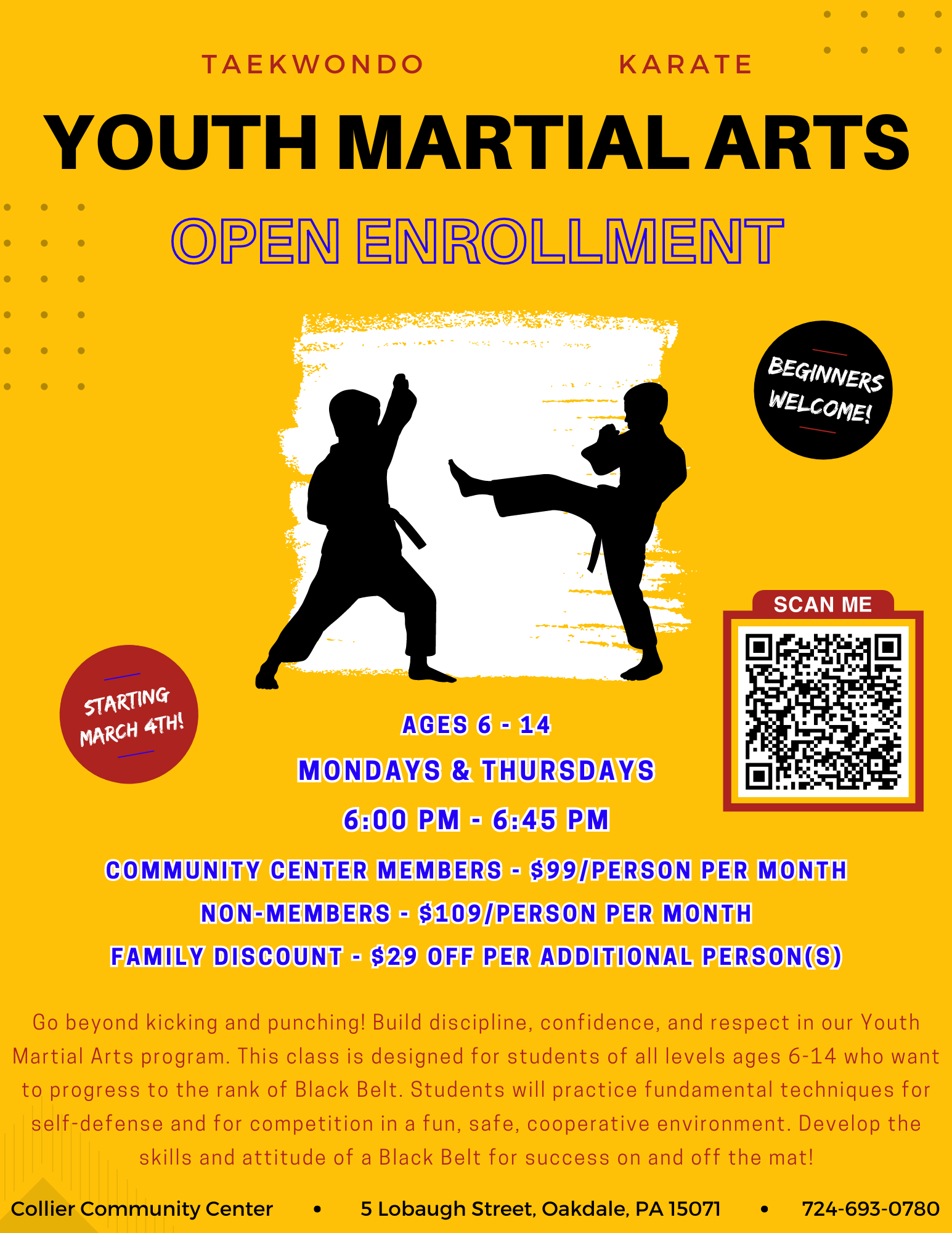 Martial Arts for Youth