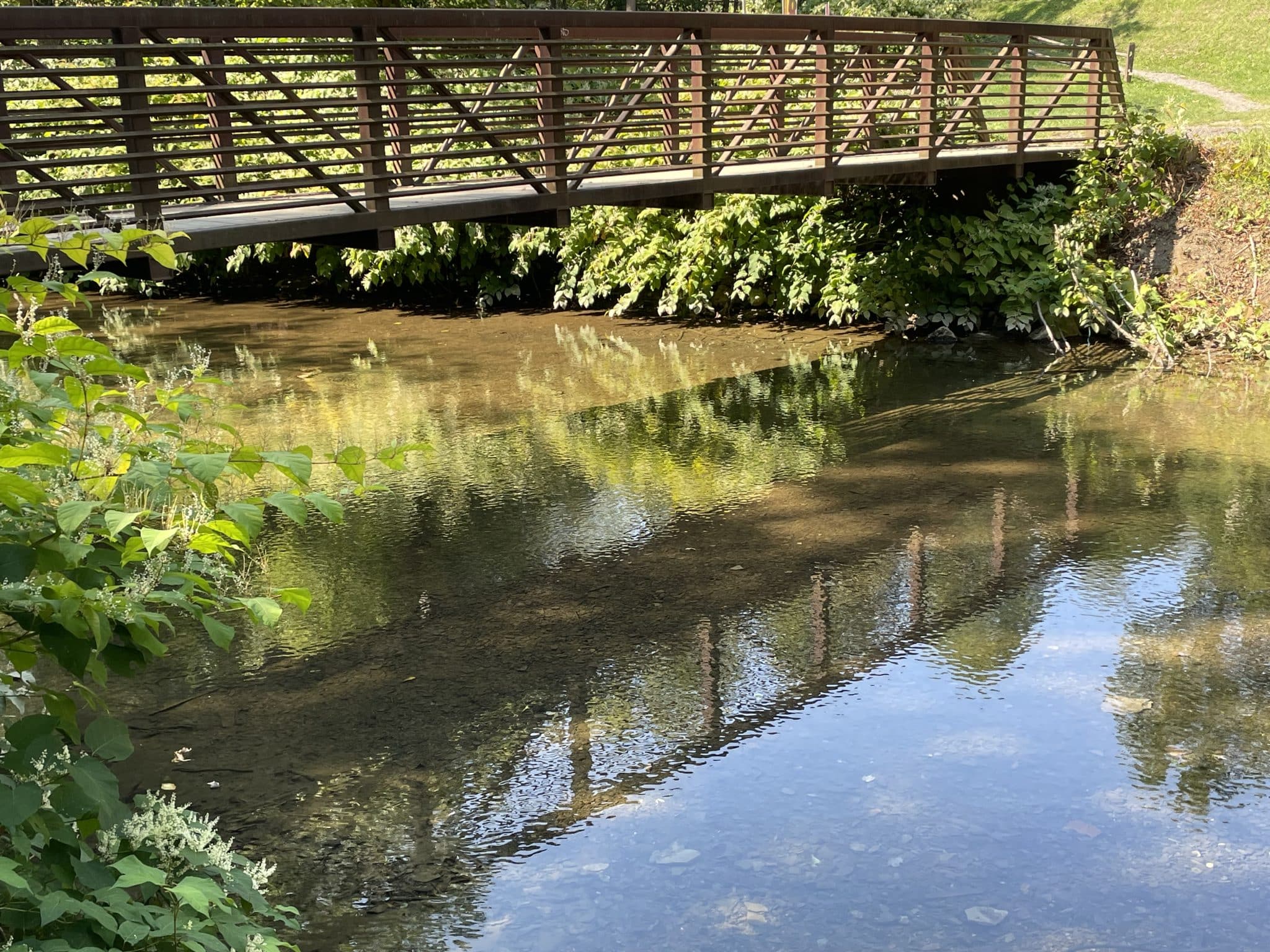 MS4 - Municipal Separate Storm Sewer Systems - Collier Township